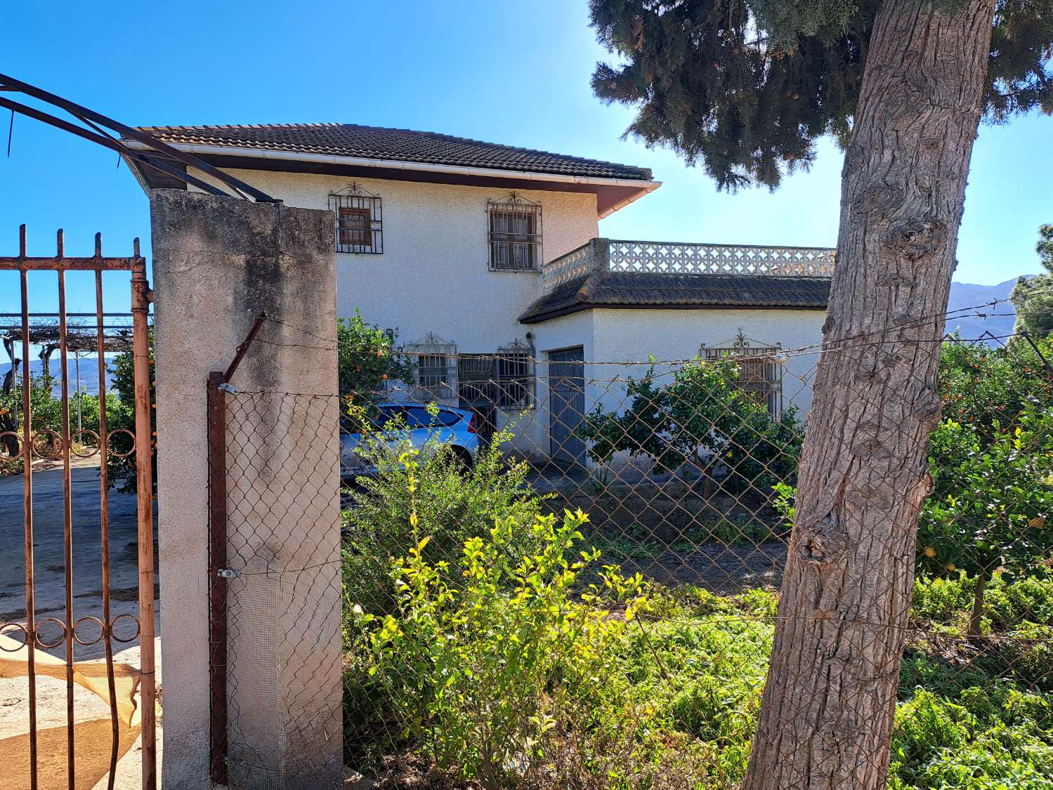 Finca rústica con casa en Librilla (Murcia)