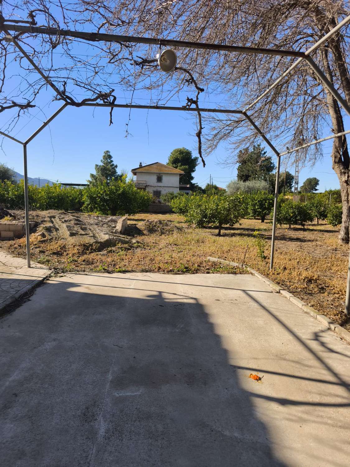 Finca rústica con casa en Librilla (Murcia)