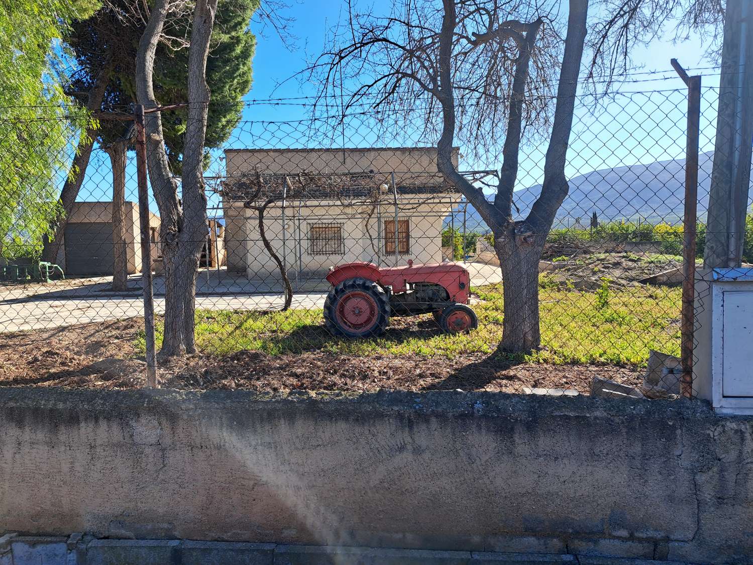 Finca rústica con casa en Librilla (Murcia)
