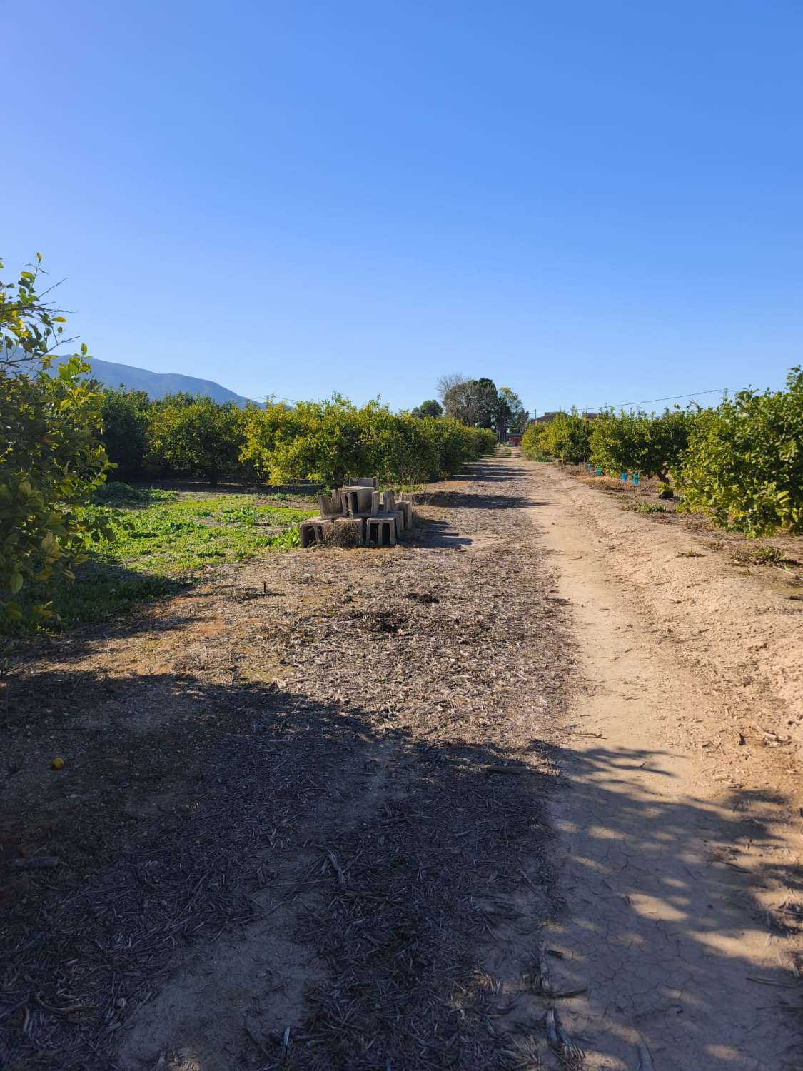 Finca rústica con casa en Librilla (Murcia)