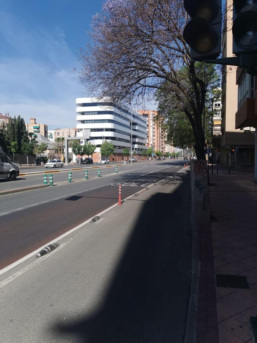 Local en alquiler en Centro (Murcia)