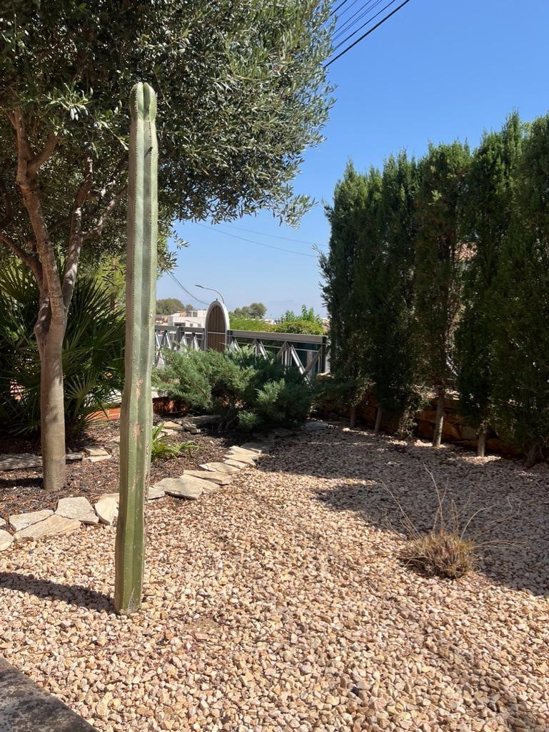 Chalet con piscina en Las Torres de Cotillas (Murcia)