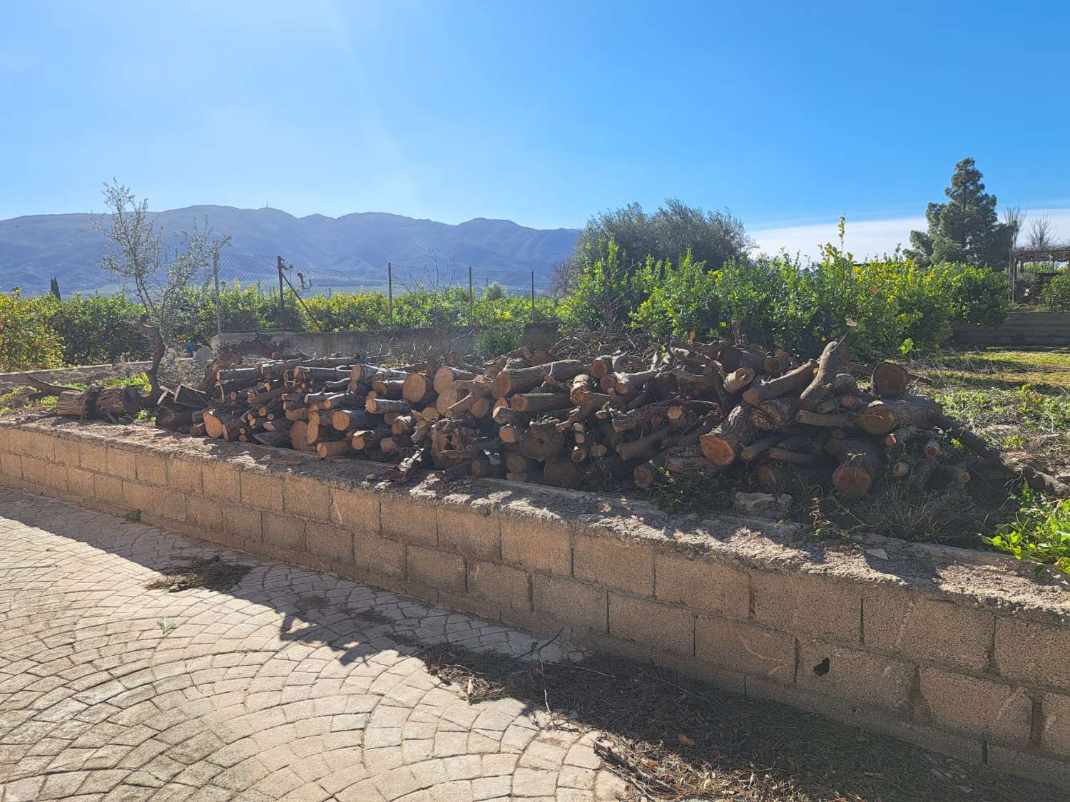 Finca rústica con casa en Librilla (Murcia)