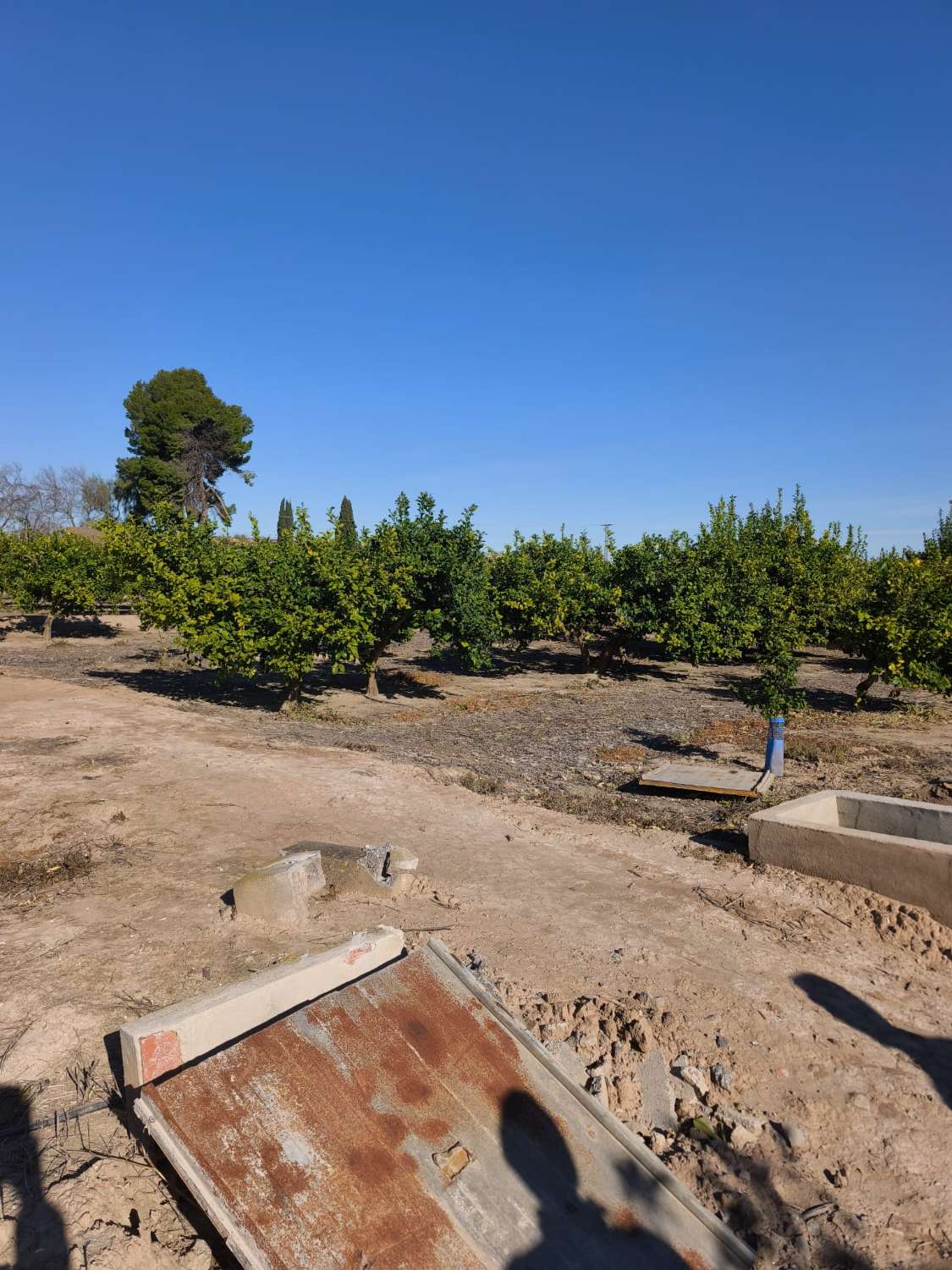 Finca rústica con casa en Librilla (Murcia)