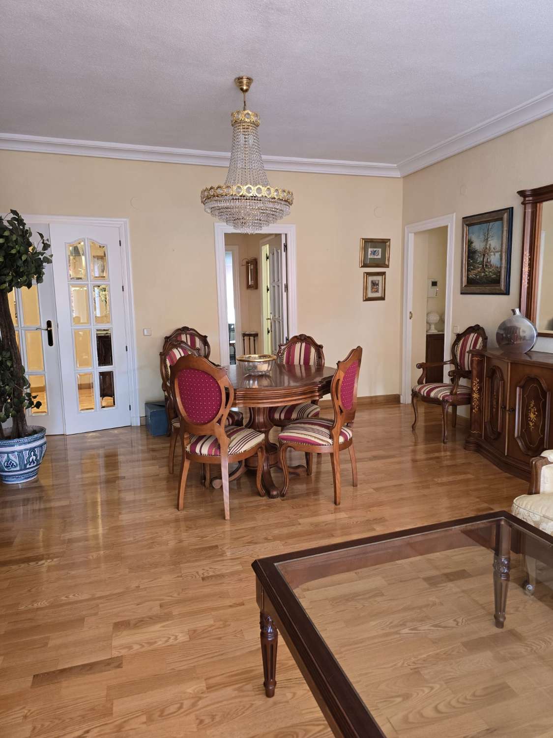 Acogedora vivienda en el corazón de Murcia