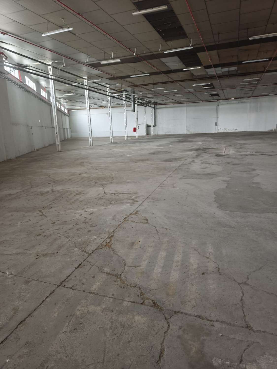 Magnifica Nave Industrial en parcela de 11879m2 en Molina de Segura