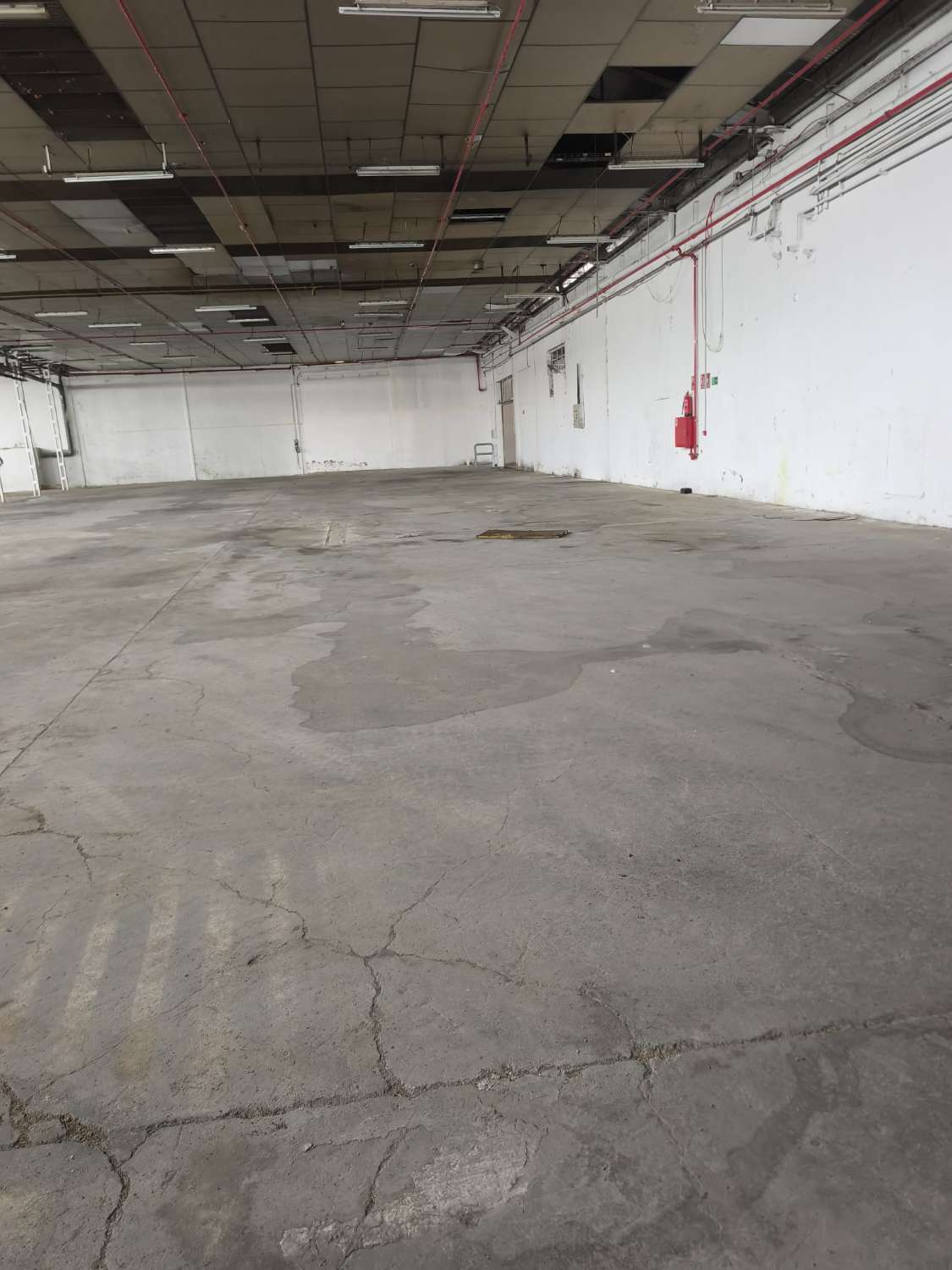 Magnifica Nave Industrial en parcela de 11879m2 en Molina de Segura